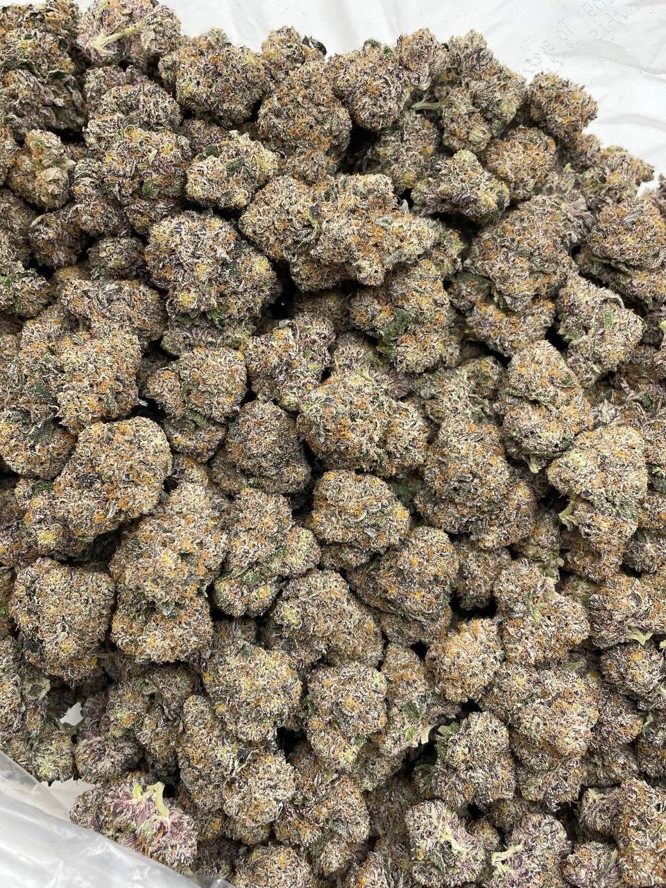 Runtz mintz indoors strain - Image 2