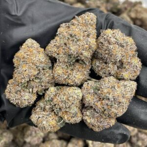 Runtz mintz indoors strain