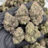 Grape cotton candy strain