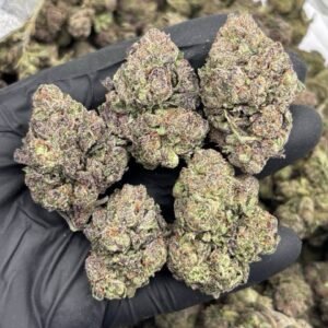 Grape cotton candy strain