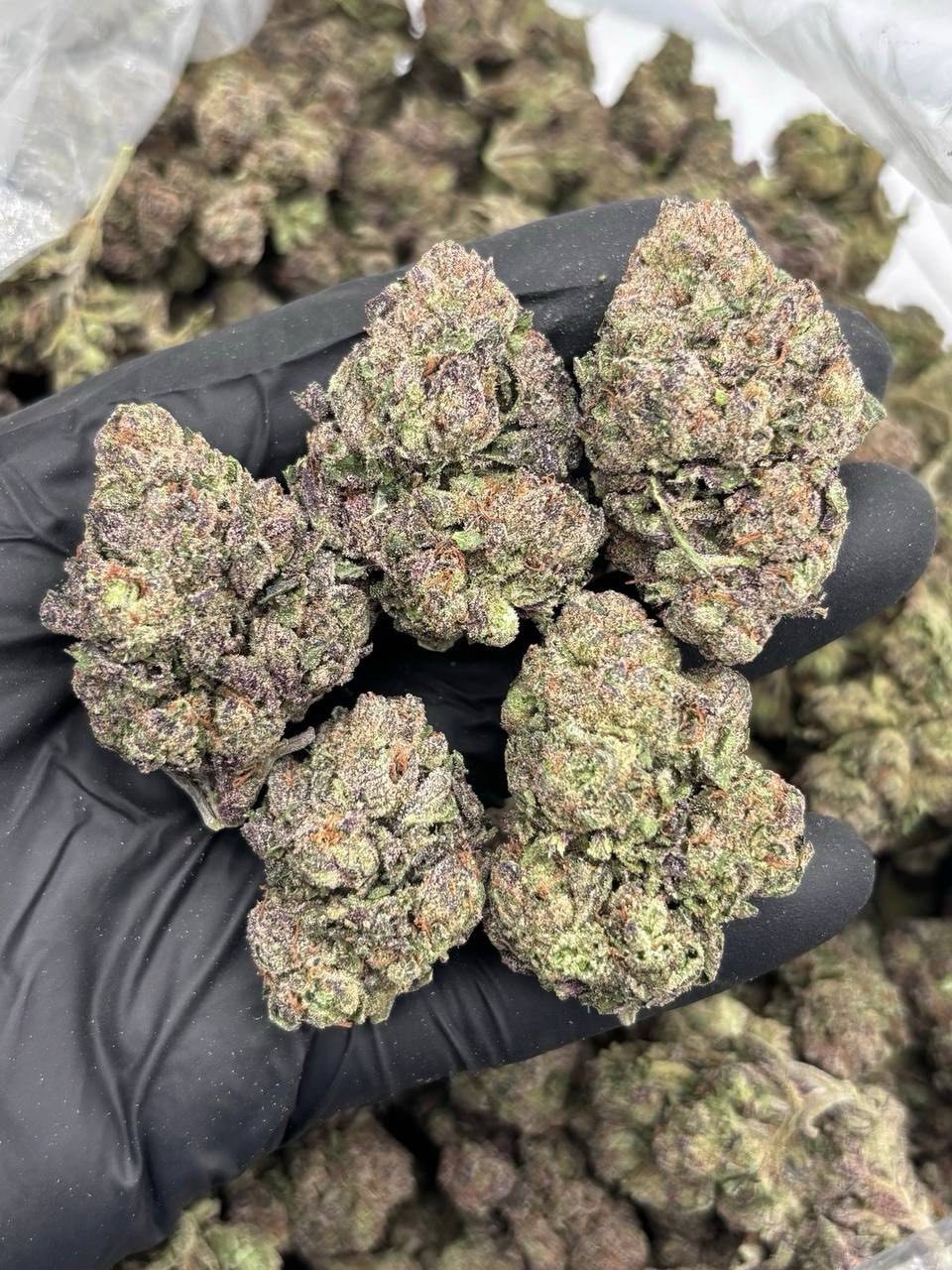 Grape cotton candy strain