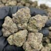 Cherry popperz indoor
