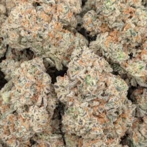 Pink Bubba AAA+