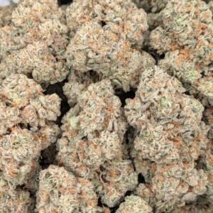 Pink Bubba AAA+ - Image 3