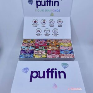 Alternative view of Puffin Disposable 2G