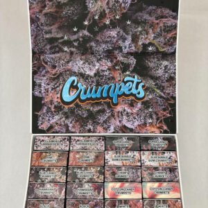 Crumpets Disposable - Image 2