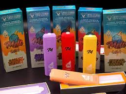 Alternative view of Melt Disposable